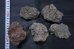 画像2: 溶岩石　（小５個）　＃0013 (2)
