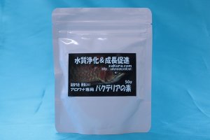 画像1: アロワナ専用　バクテリアの素　50ｇ