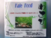 Kale Food 13g