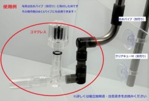 画像4: ユマクレス