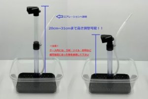 画像3: エフ・キューブ プラス