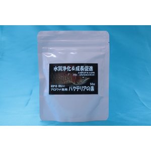 画像: アロワナ専用　バクテリアの素　50ｇ