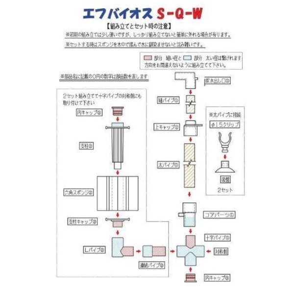 画像5: エフ・バイオス　S-Q-W (5)