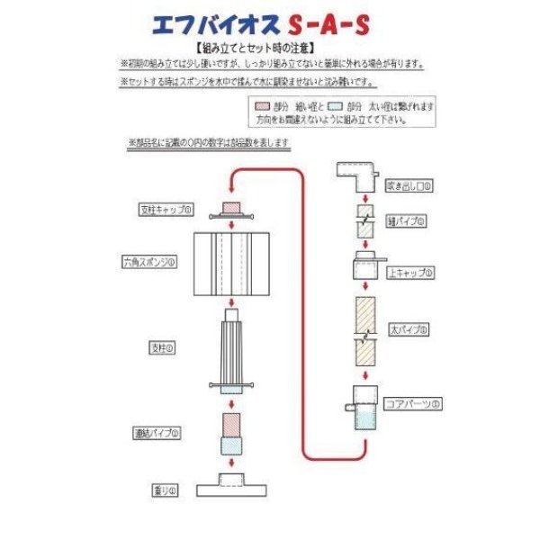 画像5: エフバイオス　S-A-S (5)