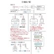 画像5: コケトリダー (5)