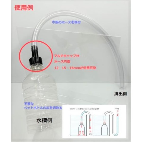 画像5: マルチキャップ（Ｍ） (5)