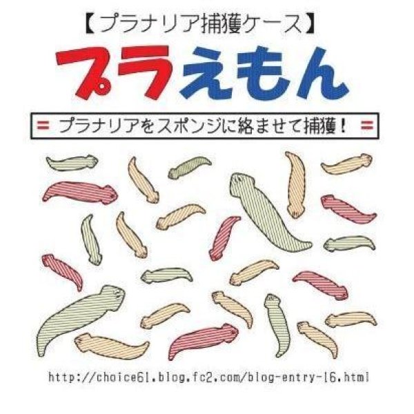 画像5: プラえもん (5)